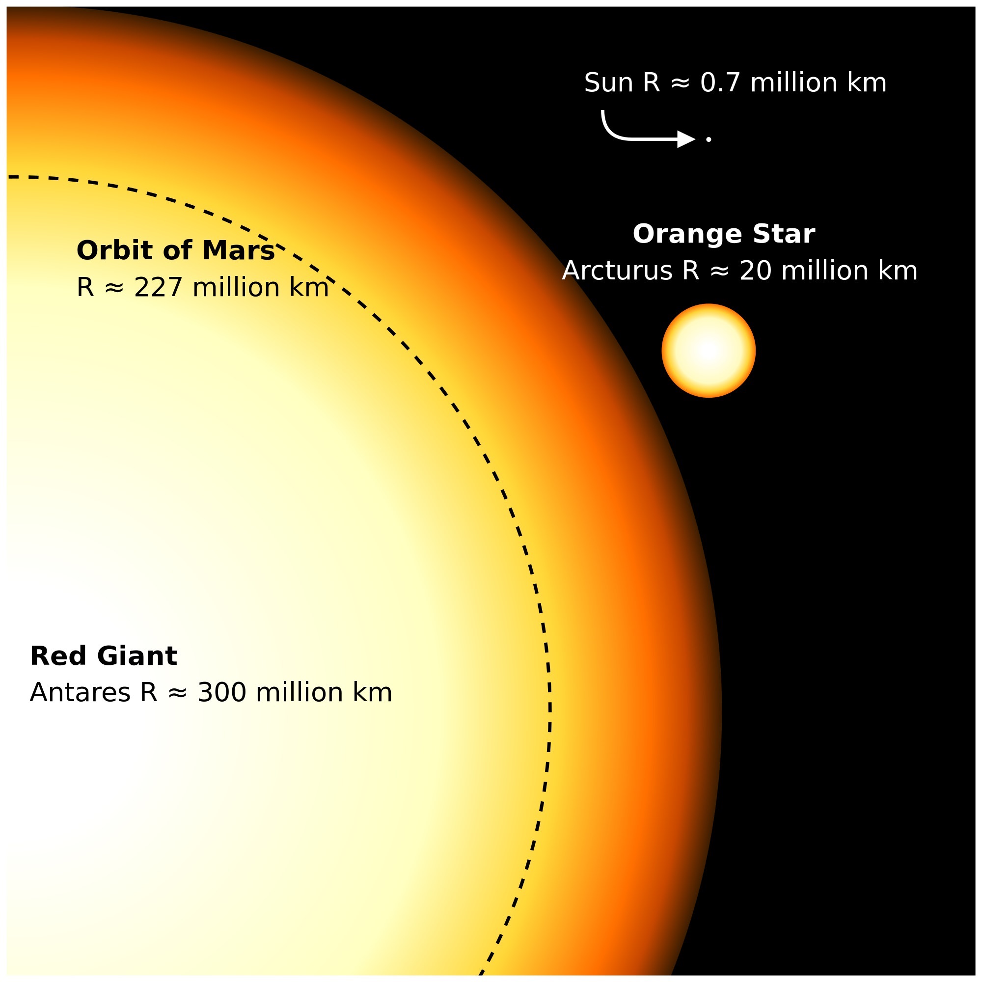 مقایسه شعاع ستارگان غول سرخ قلب عقرب (Antares) و ژوبین‌دار (Arcturus) با خورشید.