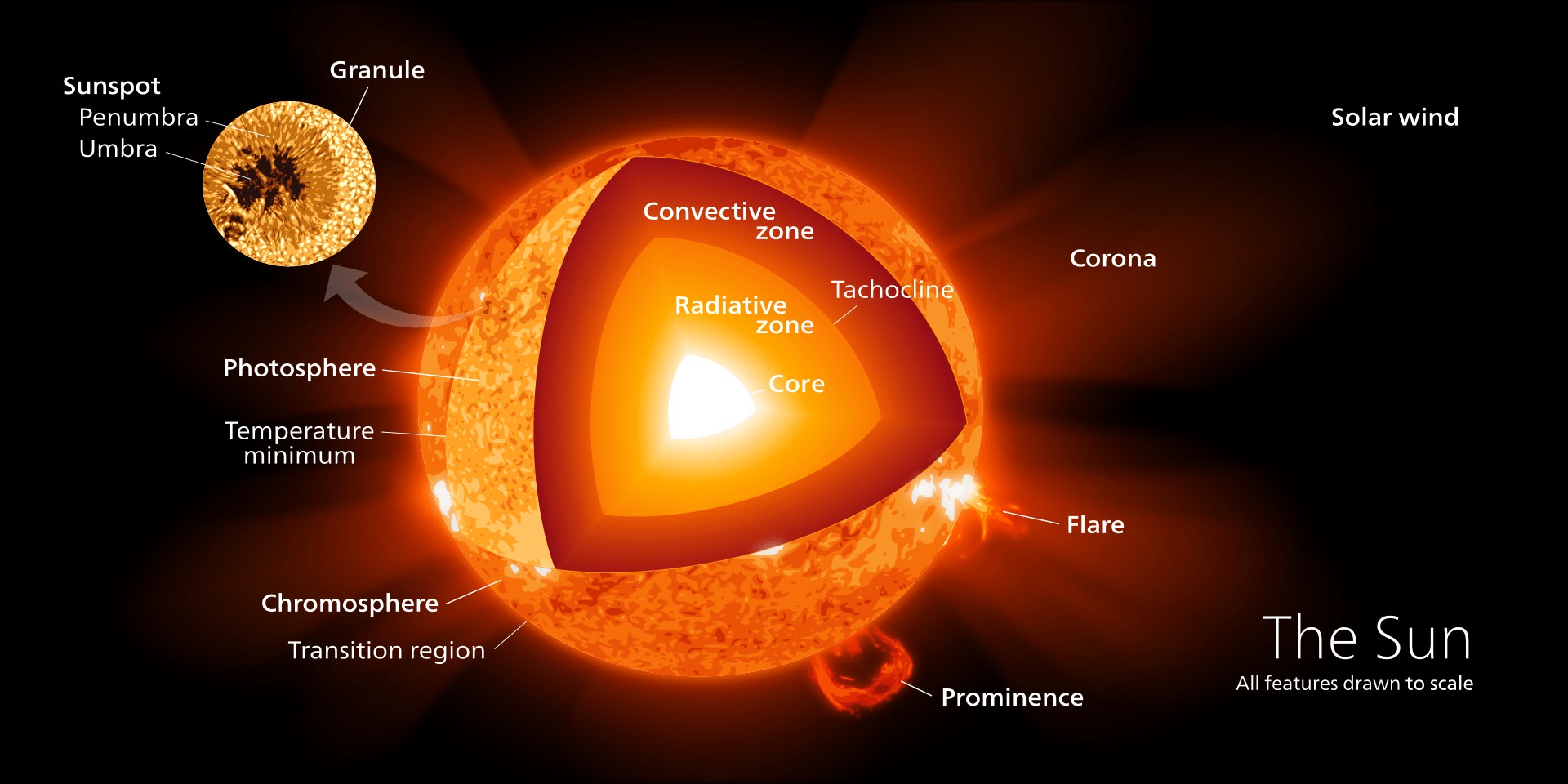 این تصویر نواحی مختلف سطح و درون خورشید ازجمله هسته، تنها مکان وقوع همجوشی هسته‌ای را نشان می‌دهد. این تابش تولیدشده در هسته خورشید است که دربرابر گرانش مقاومت می‌کند.