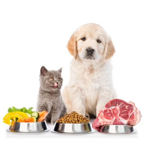 Compare dog and cat food 2
