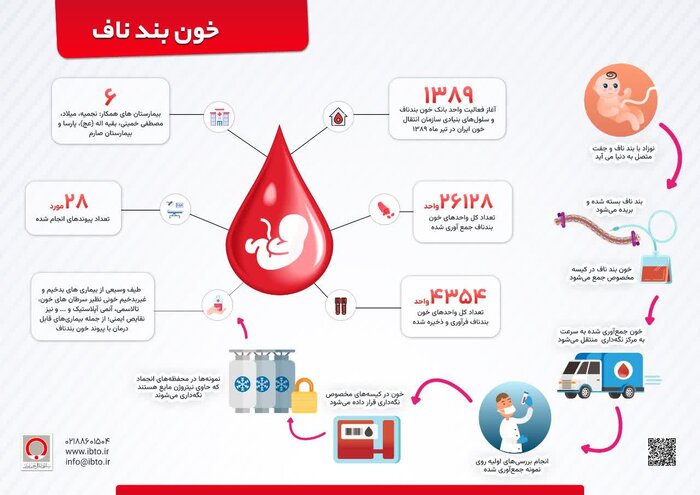 ذخیره بیش از ۴ هزار واحد سلول بنیادی خونساز در بانک خون بند ناف سازمان انتقال خون