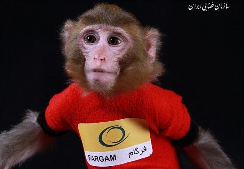 میمون فضانورد ایرانی